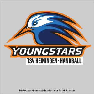 TSV Heiningen Logo Youngstars Digital