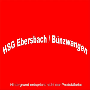 HSG Ebersbach/Bünzw.Schriftzug_FT weiß