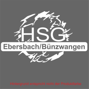 HSG Ebersbach/Bünzwangen_Logo_FT weiß