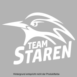 Team Staren_klein_FT weiß