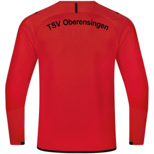 TSVO Sweatshirt Challenge