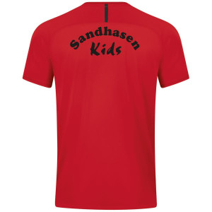 TSVO SANDHASEN Kids Shirt Challenge