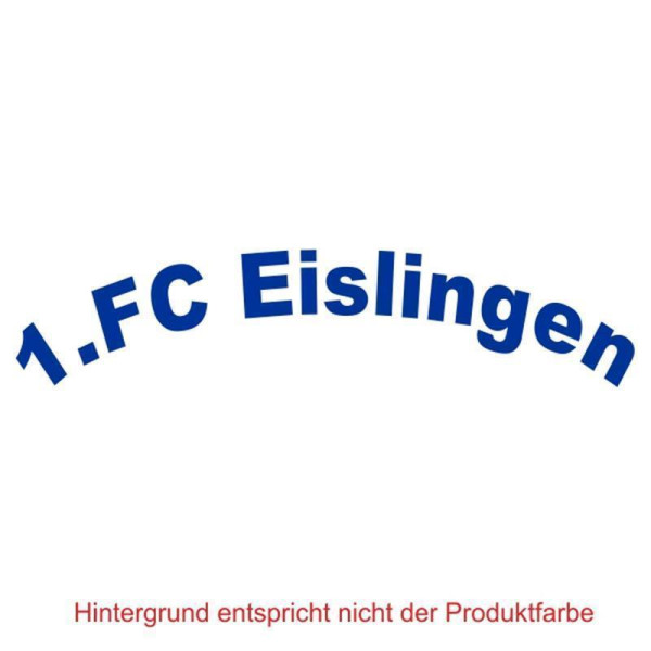 1.FC Eislingen Schriftzug_300_Flex_blau
