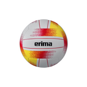 ERIMA Allround Volleyball