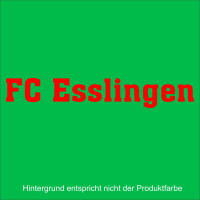 FC Esslingen Schriftzug_240_Opak_rot